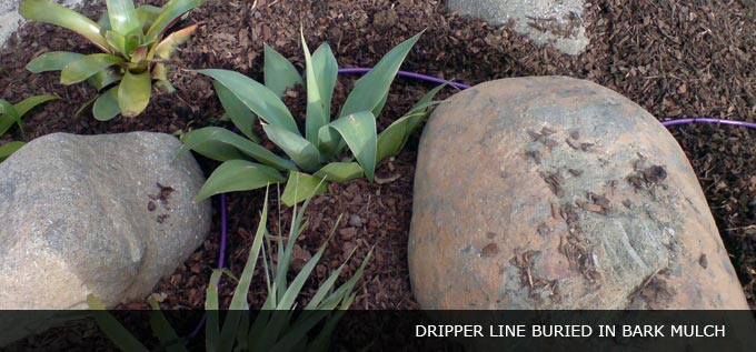 wastewater dripper line buried in bark mulch